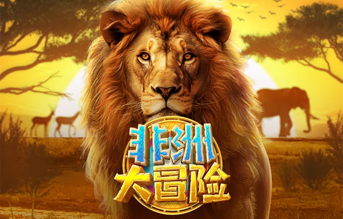 3y体育网址