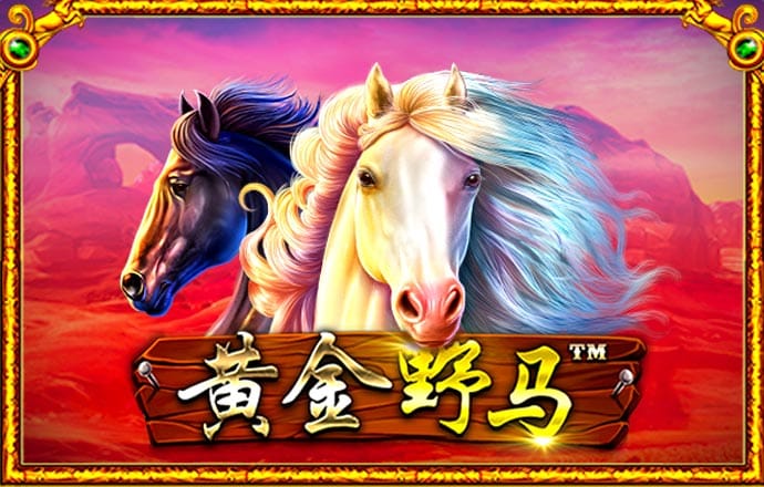 龙珠直播体育app下载